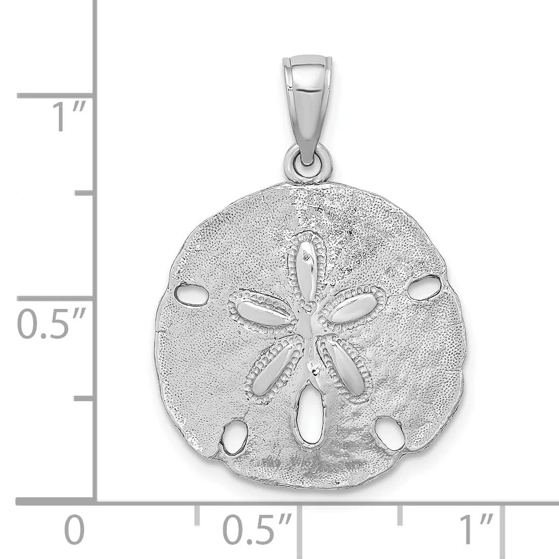 14k White Gold Textured Polished Finish Sand Dollar Charm Pendant