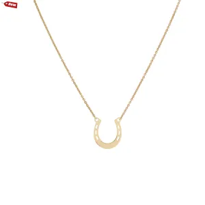 Large Horseshoe Pendant & Helen Chain Necklace